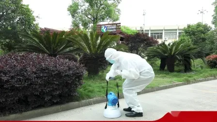 Agricultural Sprayer, Backpack Hand Sprayer (NS-20XP)